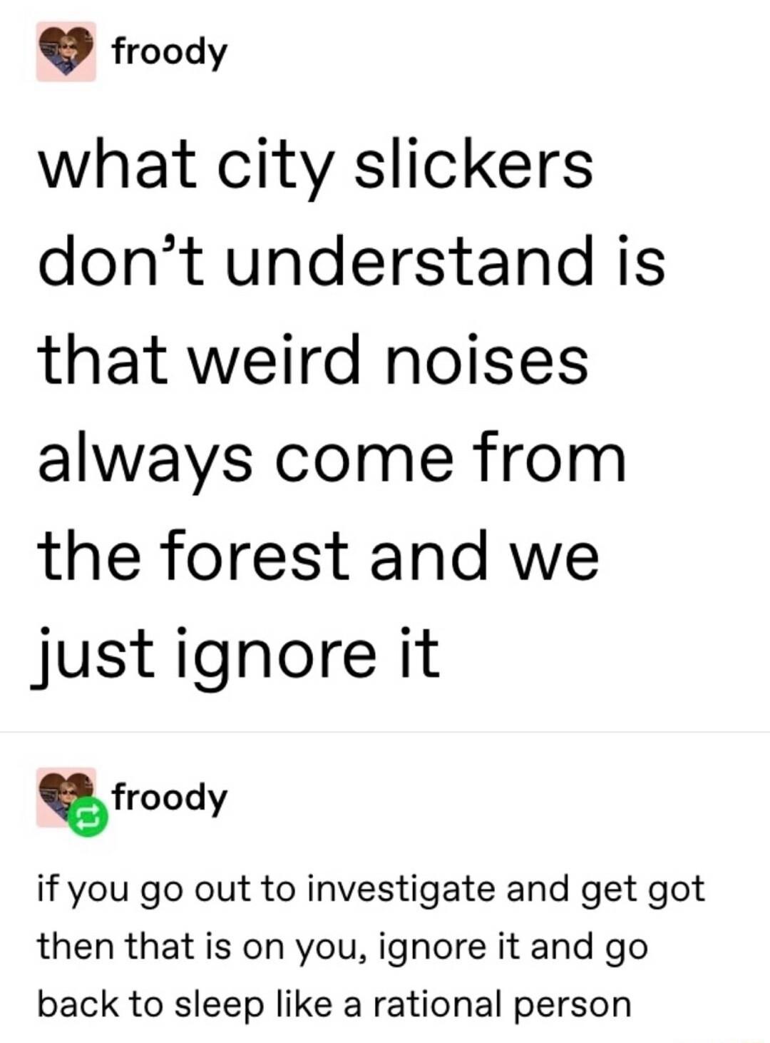 froody what city slickers dont understand is that weird noises always come from the forest and we justignore it froody if you go out to investigate and get got then that is on you ignore it and go back to sleep like a rational person
