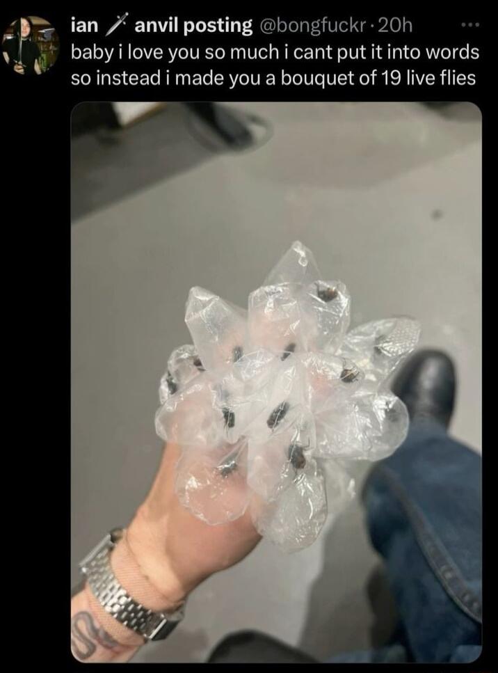 baby i love you so much i cant put it into words so instead i made you a bouquet of 19 live flies _ P ian anvil posting bongfuckr 20h v