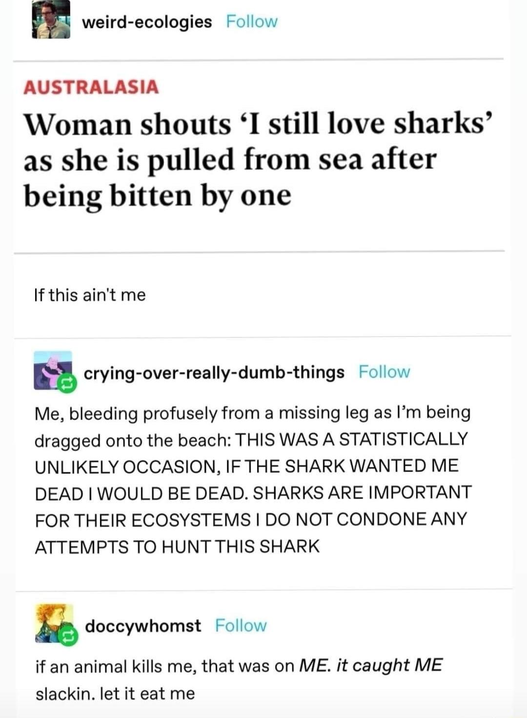 weird ecologies Follow AUSTRALASIA Woman shouts I still love sharks as she is pulled from sea after being bitten by one If this aint me crying over really dumb things Follow Me bleeding profusely from a missing leg as Im being dragged onto the beach THIS WAS A STATISTICALLY UNLIKELY OCCASION IF THE SHARK WANTED ME DEAD WOULD BE DEAD SHARKS ARE IMPORTANT FOR THEIR ECOSYSTEMS DO NOT CONDONE ANY ATTE