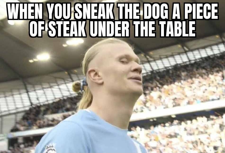 WHEN YOU SNEAK THE DOG A PIECE OF STEAK UNDER THE TABLE
