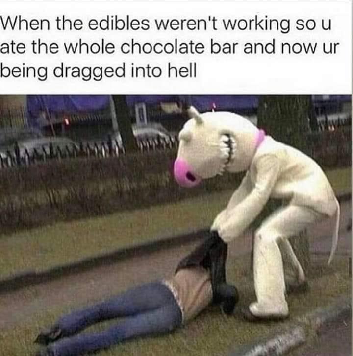 hen the edibles werent working so u ate the whole chocolate bar and now ur being dragged into hell