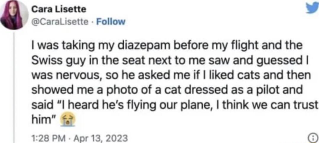 Cara Lisette L Caralisette Follow was taking my diazepam before my flight and the Swiss guy in the seat next to me saw and guessed was nervous so he asked me if liked cats and then showed me a photo of a cat dressed as a pilot and said I heard hes flying our plane think we can trust him 128 PM Apr 13 2023