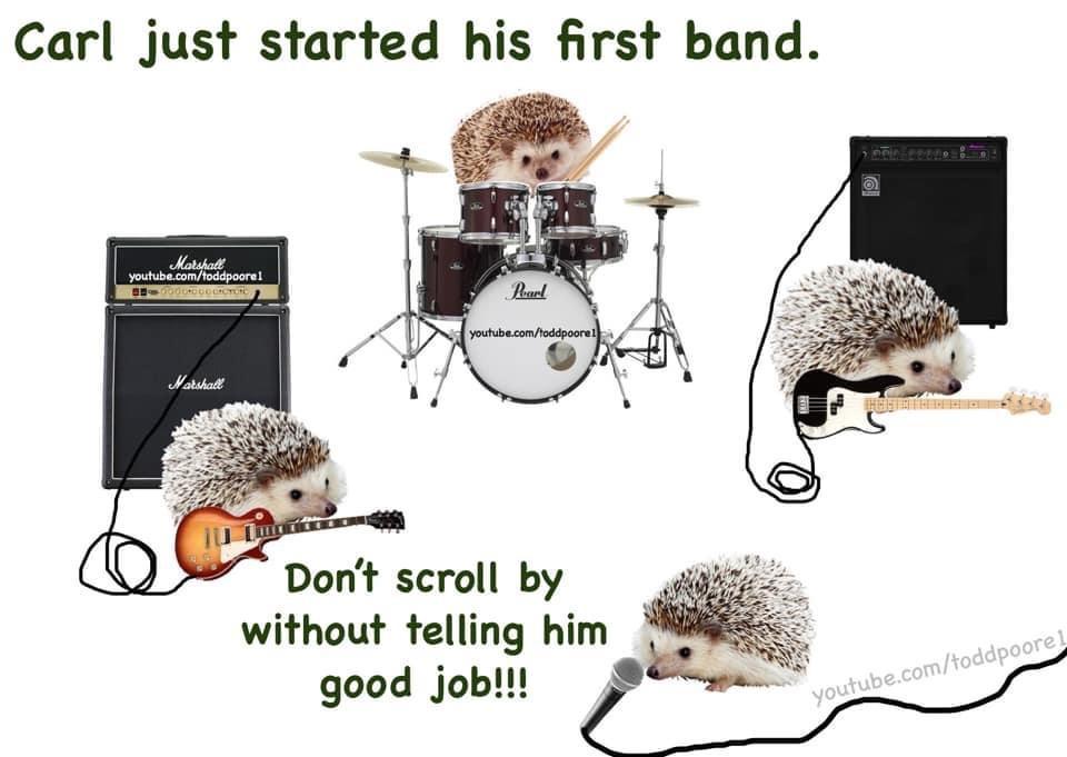 Carl just started his first band Dont scroll by without telling him good job