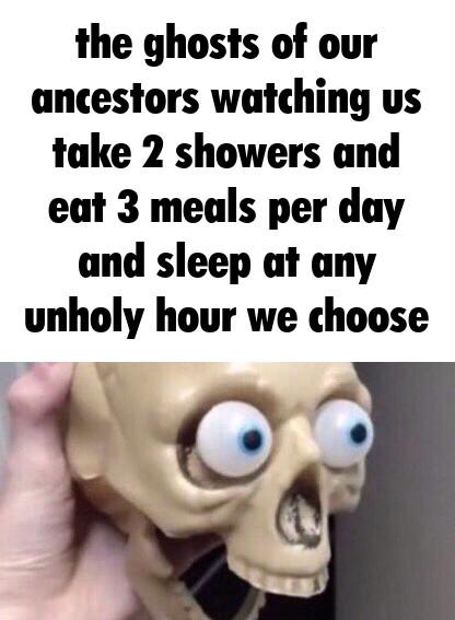 the ghosts of our ancestors watching us take 2 showers and eat 3 meals per day and sleep at any unholy hour we choose