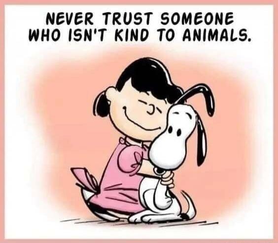 Never trust someone who isn't kind to animals.