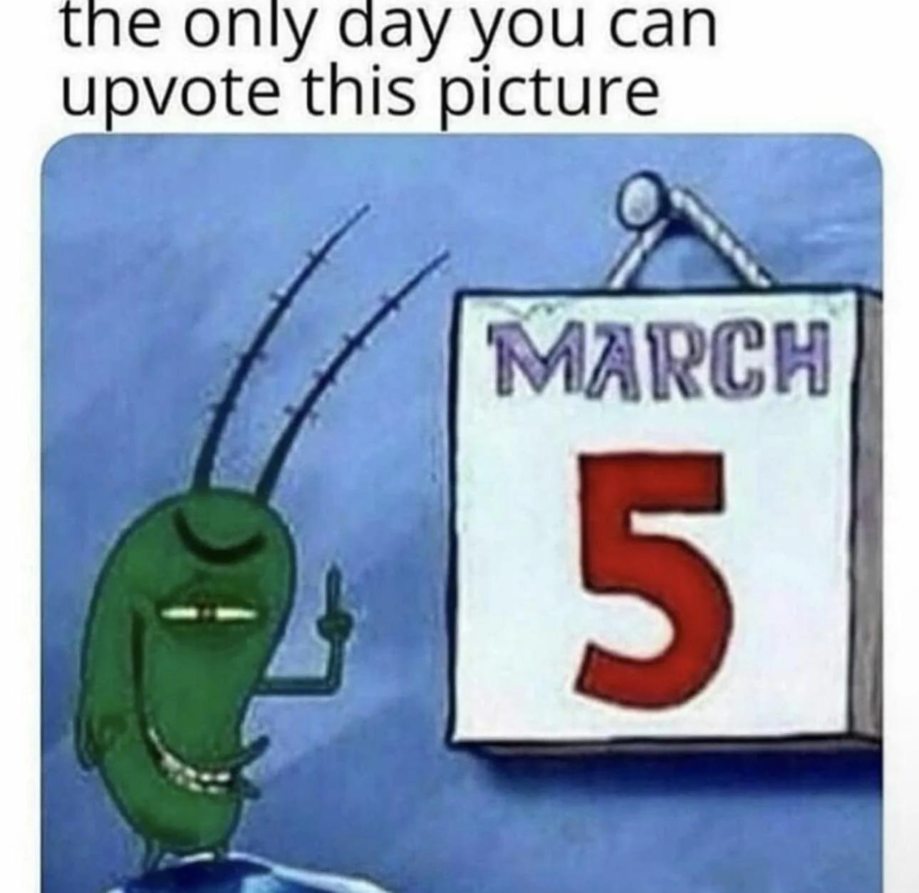 tne only aay you can upvote this picture