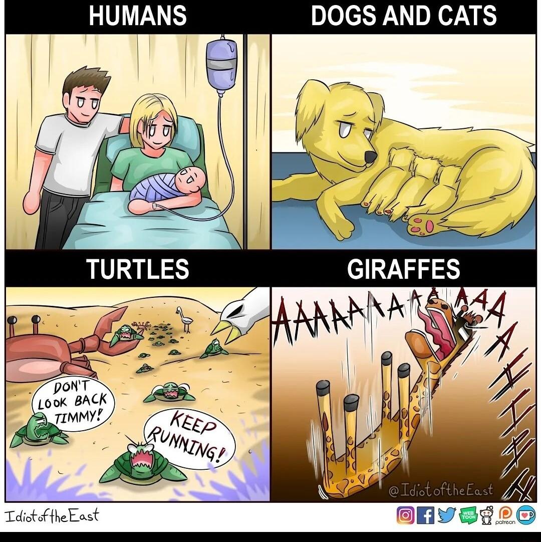 HUMANS DOGS AND CATS N Lo BACK