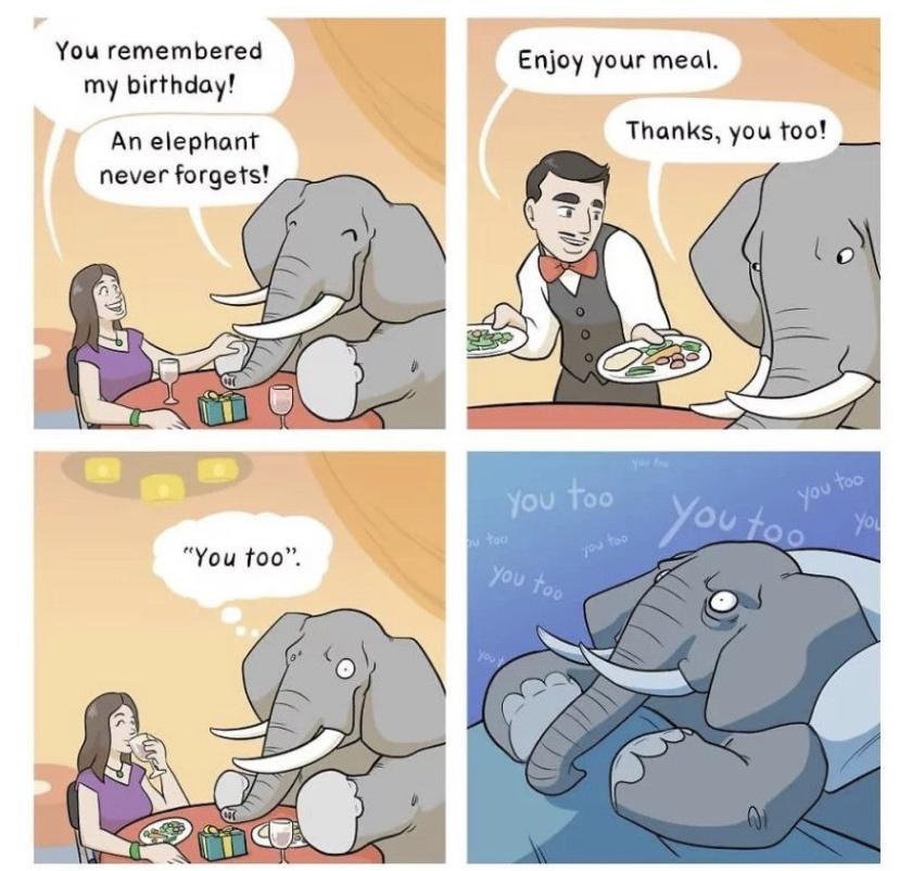 r You remembered my birthday An elephant never forgefs _ Enjoy your meal Thanks you foo
