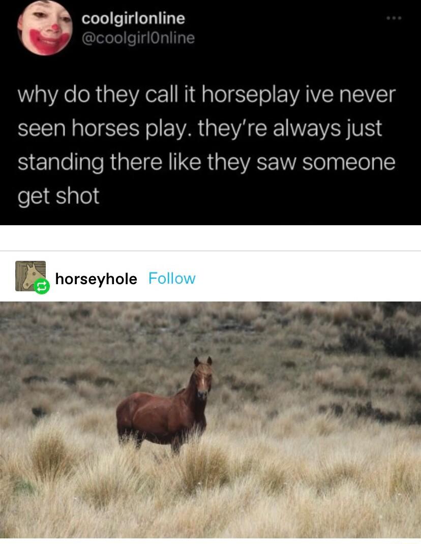 coolgirlonline why do they call it horseplay ive never seen horses play theyre always just SENTe l RGECN IR GIEVEE ATl Tl get shot horseyhole