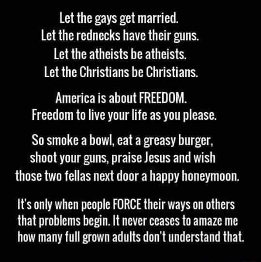 Let the gays get married Let the rednecks have their guns Let the atheists be atheists U HINTEINEAR N EN Americais about FREEDOM Freedom to live your life as you please So smoke a bowl eat a greasy burger ST N T TN TR TN those two fellas next door a happy honeymoon Its only when people FORCE their ways on others that problems begin It never ceases to amaze me how many full grown adults dont unders