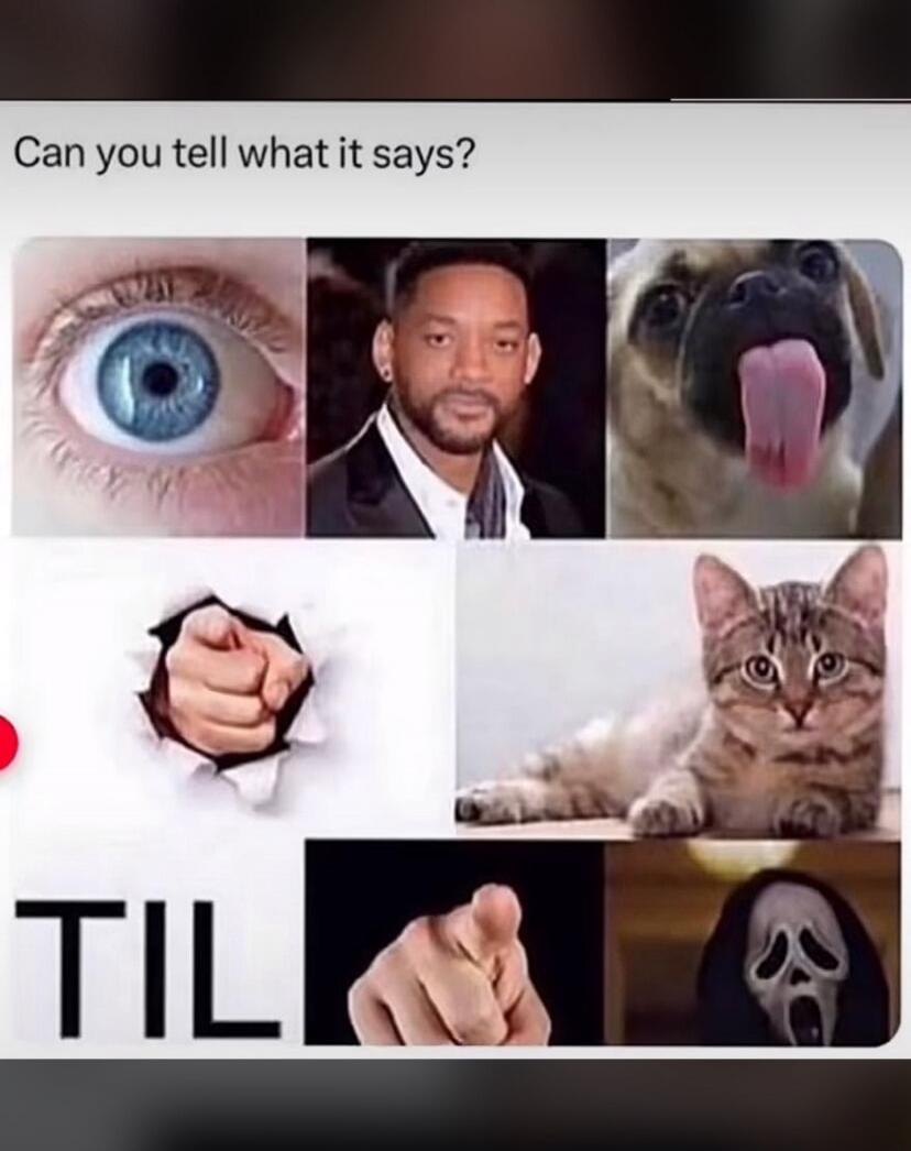 Can you tell what it says? TIL