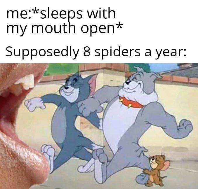 meslees with my mouth open Supposedly 8 spiders a year