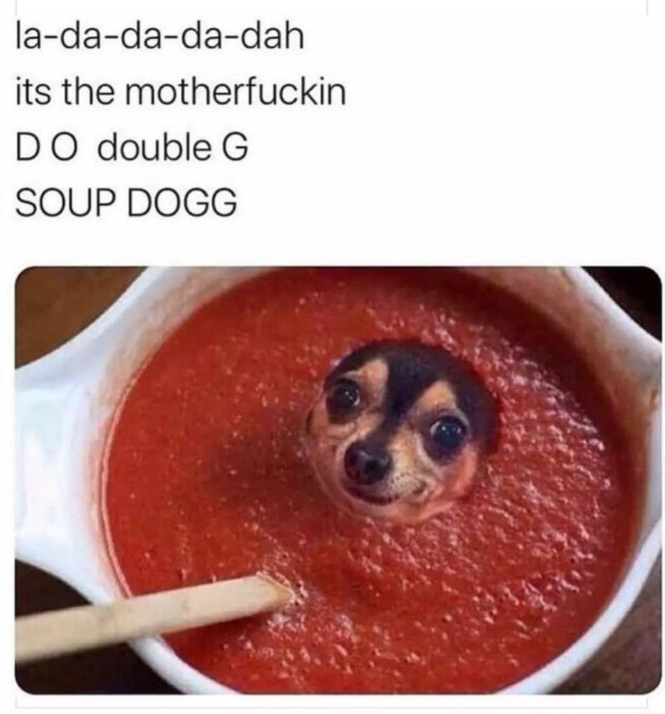 la da da da dah its the motherfuckin DO double G SOUP DOGG V