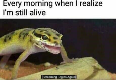 Every morning when realize Im still alive