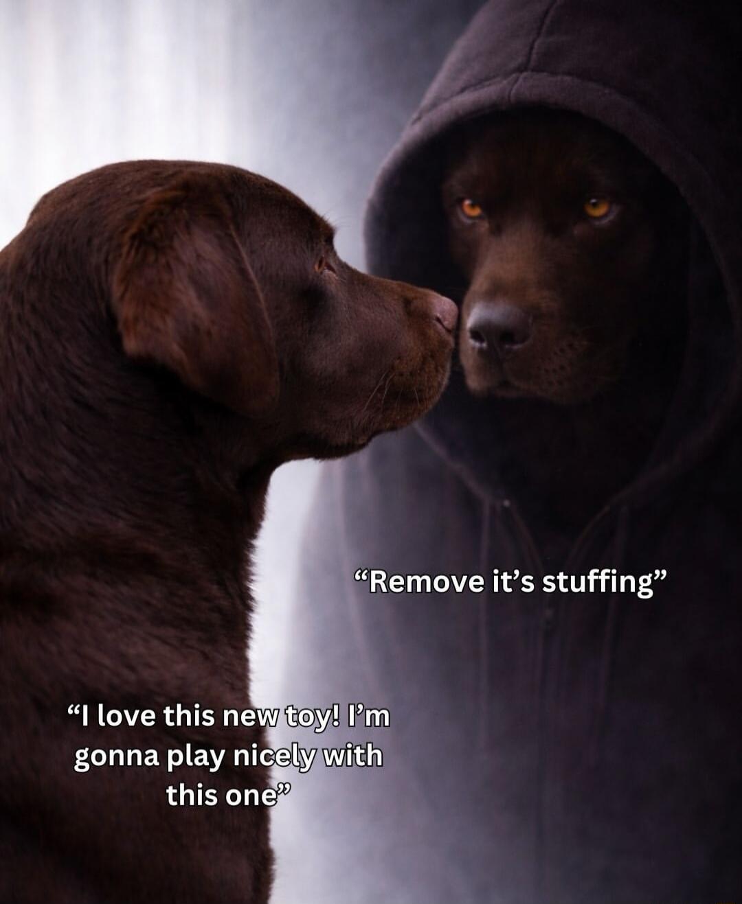 Remove it's stuffing. I love this new toy! I’m gonna play nicely with this one.