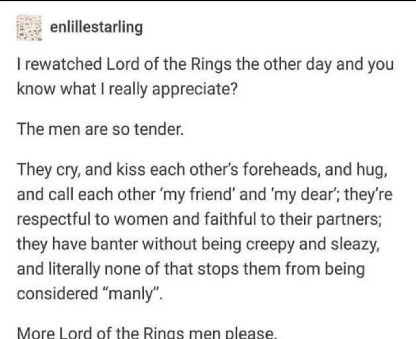 enlillestarling I rewatched Lord of the Rings the other day and you know what really appreciate The men are so tender They cry and kiss each others foreheads and hug and call each other my friend and my dear theyre respectful to women and faithful to their partners they have banter without being creepy and sleazy and literally none of that stops them from being considered manly More ord of the Rin