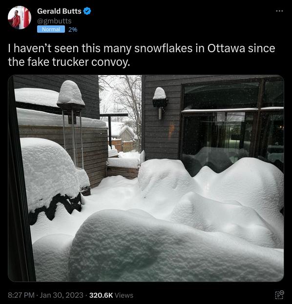 T I havent seen this many snowflakes in Ottawa since the fake trucker convoy 3206K
