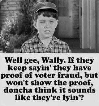 Well gee, Wally. If they keep sayin' they have proof of voter fraud, but won't show the proof, doncha think it sounds like they're lyin'?