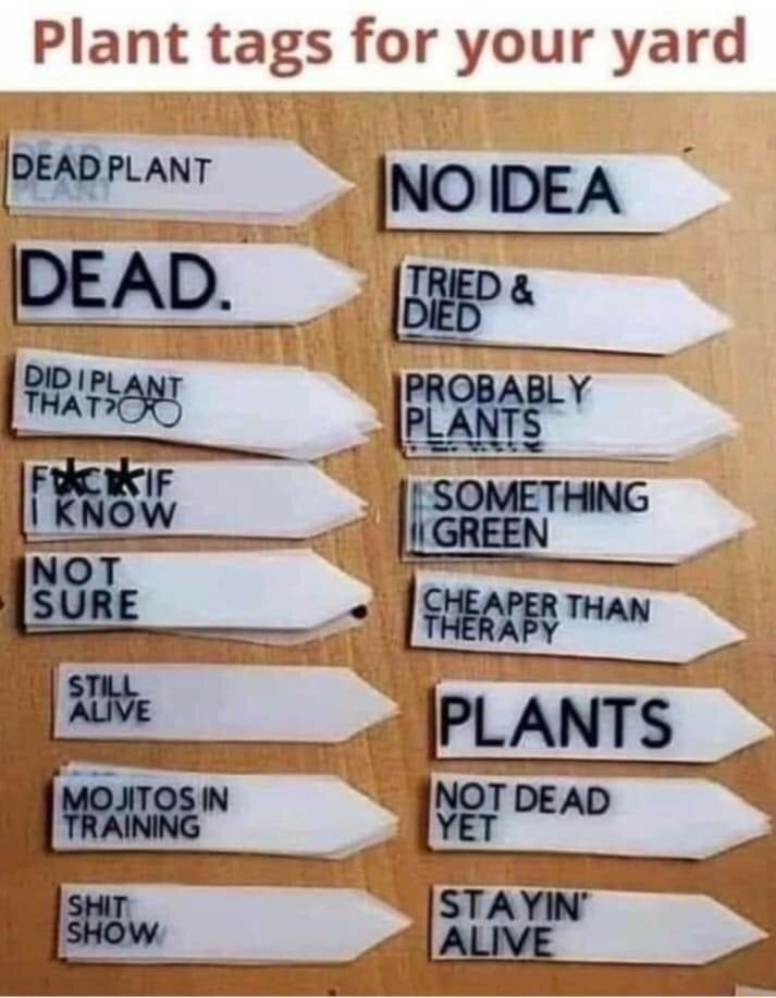 rd ya gs for your Plant ta