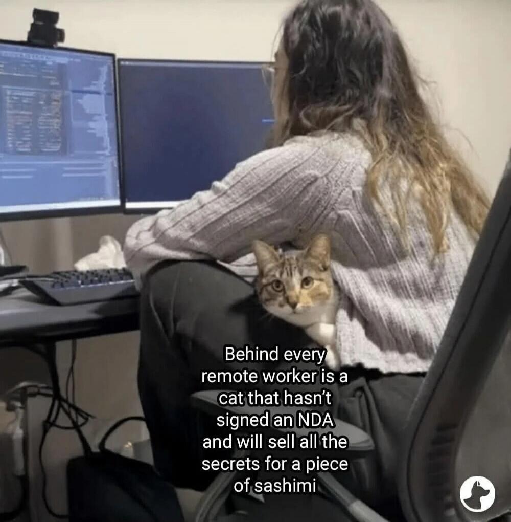 Behind every remote worker is a cat that hasn't signed an NDA and will sell all the secrets for a piece of sashimi