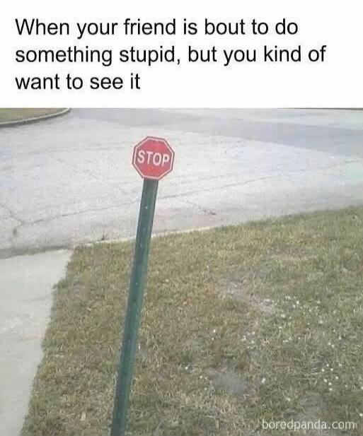 When your friend is bout to do something stupid, but you kind of want to see it. STOP.