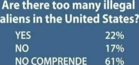 Are there too many illegal aliens in the United States? YES 22% NO 17% NO COMPRENDE 61%