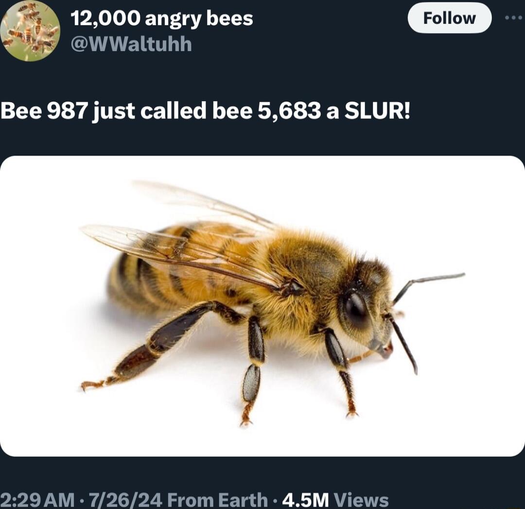 12000 angry bees WWal