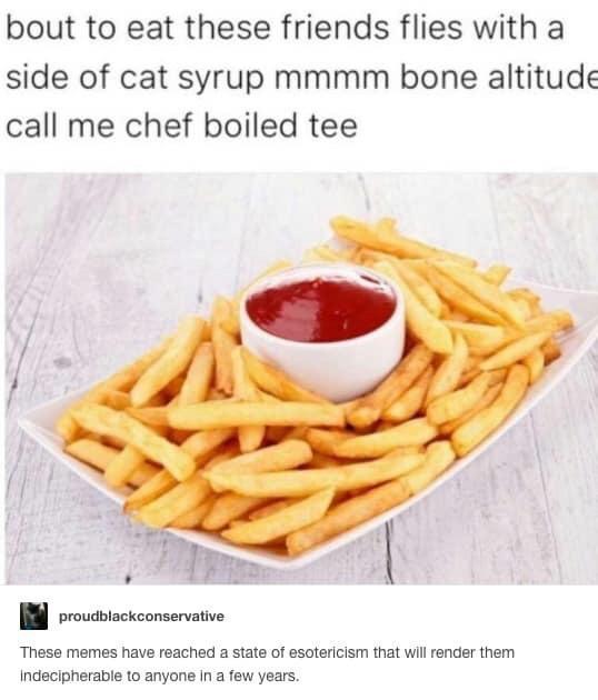 bout to eat these friends flies with a side of cat syrup mmmm bone altitude call me chef boiled tee Bl erovdviackconservative These memes have reached a state of esotericism that will render them Indecipherable to anyone In a few years