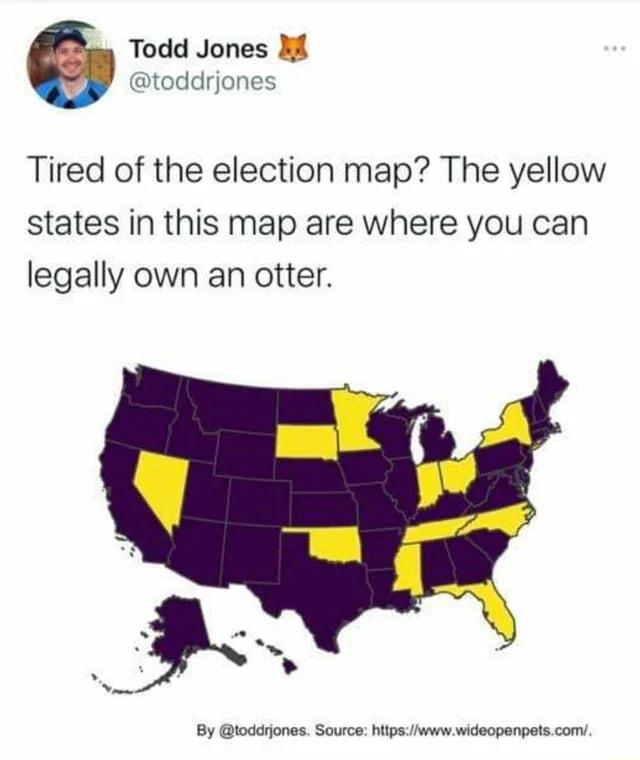 Todd Jones Mt toddrjones Tired of the election map The yellow states in this map are where you can legally own an otter By loddjones Source hipswwwwideopenpetscom