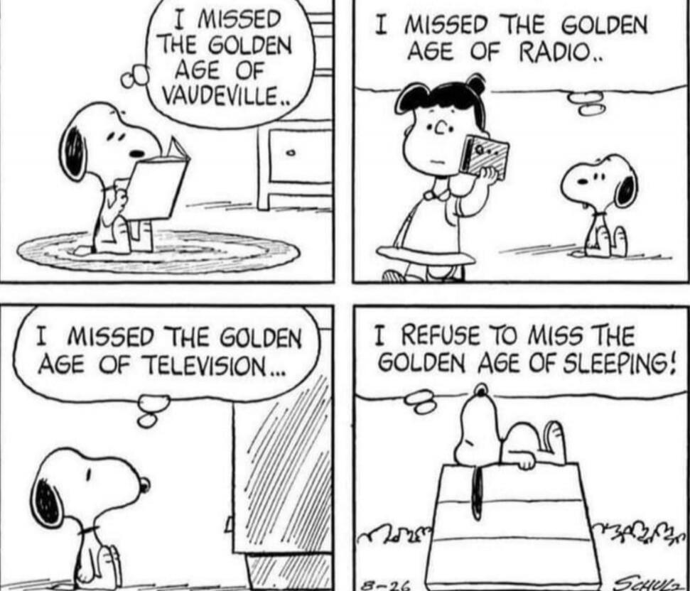 I MISSED THE GOLDEN AGE OF VAUDEVILLE.. I MISSED THE GOLDEN AGE OF RADIO.. I MISSED THE GOLDEN AGE OF TELEVISION... I REFUSE TO MISS THE GOLDEN AGE OF SLEEPING!