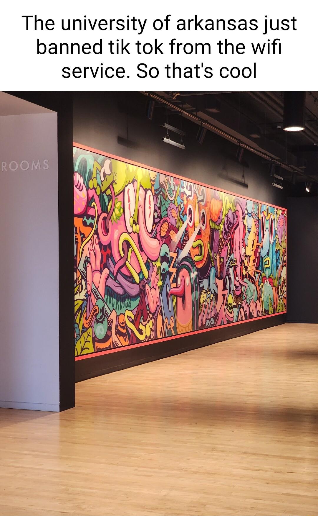 The university of arkansas just banned tik tok from the wifi service So thats cool