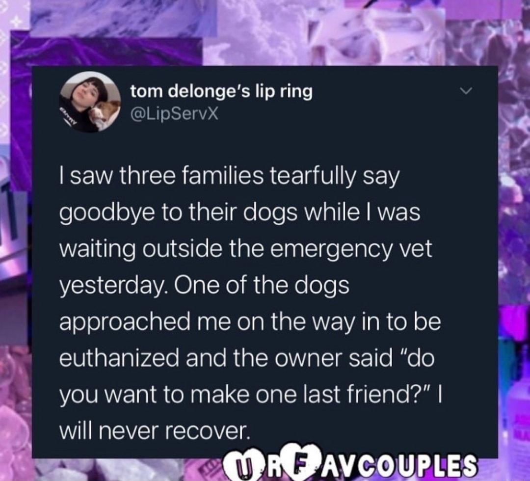 N tom delonges lip ring v g W LipServX KA GICER IR CE VA eelele0YR o N all e ole SAWVIalI CHRWETS waiting outside the emergency vet yesterday One of the dogs ToJefer TelalTo NaalNe g R IRVE A o R o o1 A euthanized and the owner said do you want to make one last friend will never recover CORPAVCOUPLE