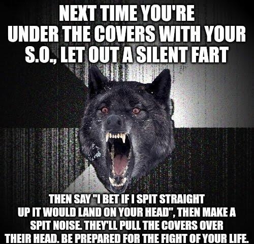 NEXT TIME YOURE UNDER THE COVERS WITH YOUR S0 LET 11 ASIEIII FART Wi i W AY THEN SAY I BET IF SPIT STRAIGHT UP ITWOULD LAND ON YOUR HEAD THEN MAKE A SPIT NOISE THEYLL PULL THE COVERS OVER THEIR HEAD BE PREPARED FOR THE FIGHT OF YOUR LIFE