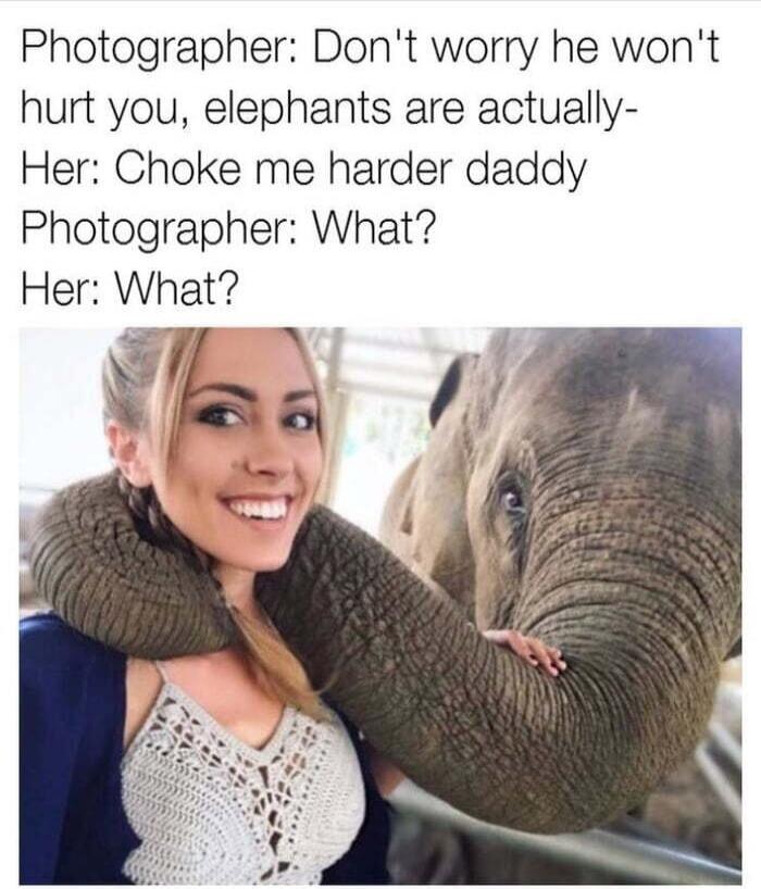Photographer: Don't worry he won't hurt you, elephants are actually- Her: Choke me harder daddy Photographer: What? Her: What?