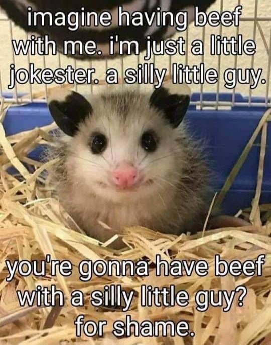 nna have bee QUYAs W