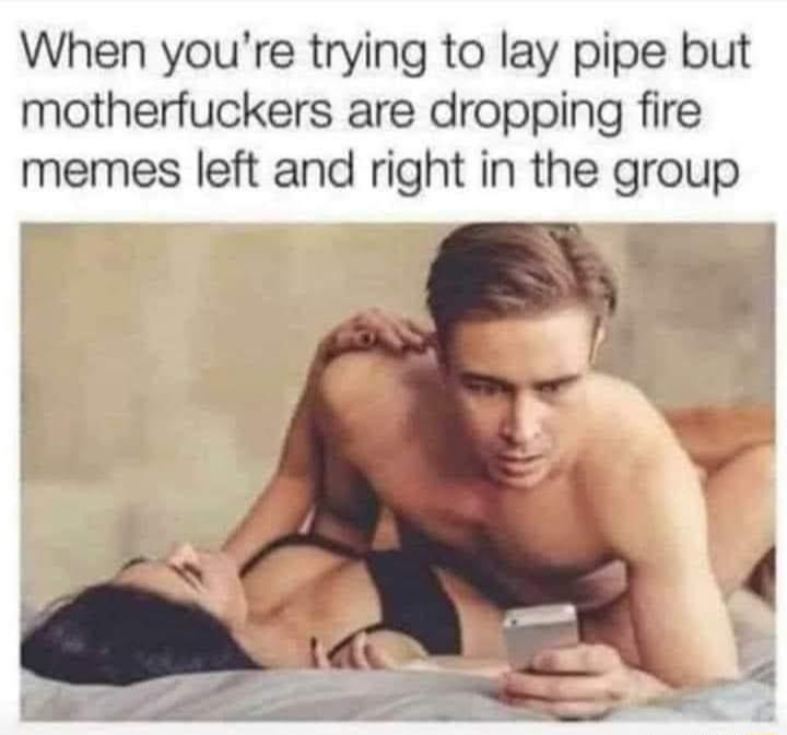 When youre trying to lay pipe but motherfuckers are dropping fire memes left and right in the group