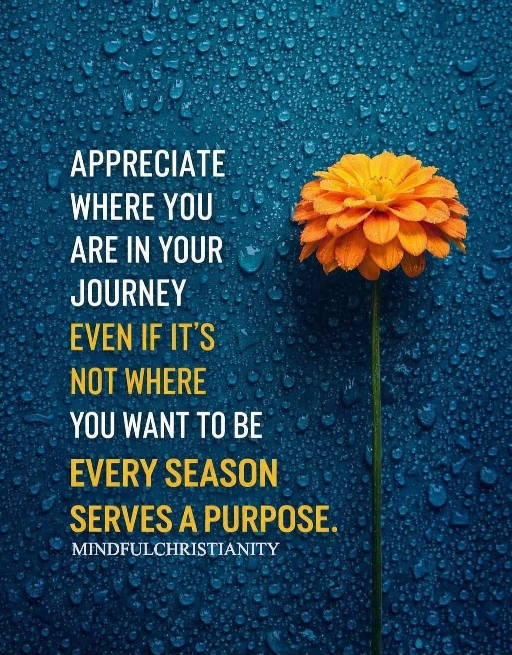 APPRECIATE WHERE YOU ARE IN YOUR JOURNEY EVEN IF IT'S NOT WHERE YOU WANT TO BE EVERY SEASON SERVES A PURPOSE. MINDFULCHRISTIANITY