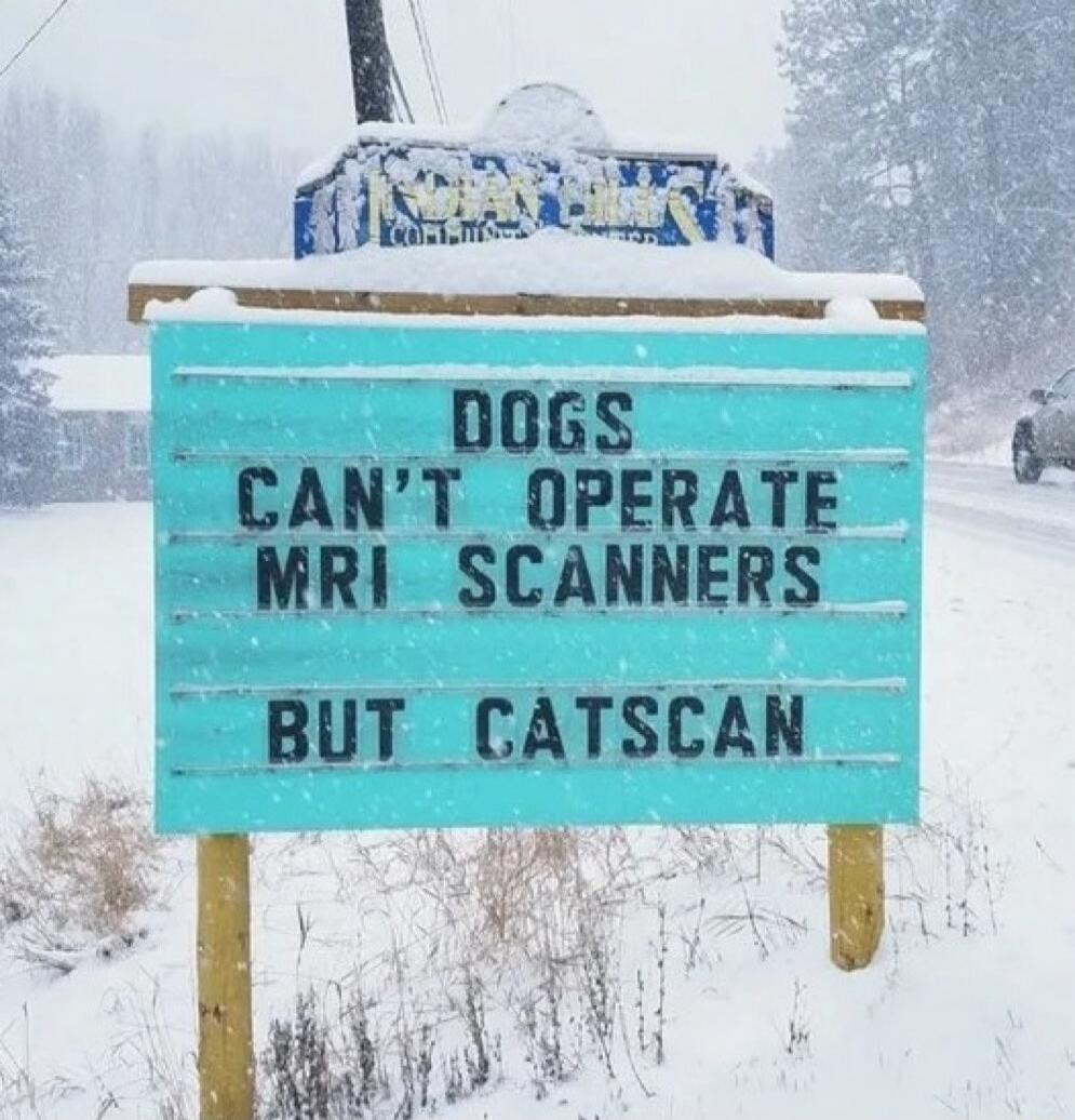 DOGS CAN'T OPERATE MRI SCANNERS BUT CATSCAN