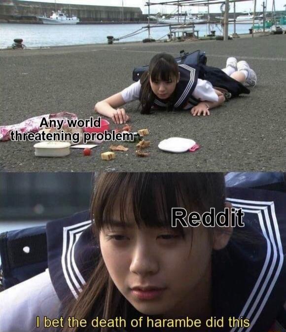 Any world threatening problem
Reddit
I bet the death of harambe did this