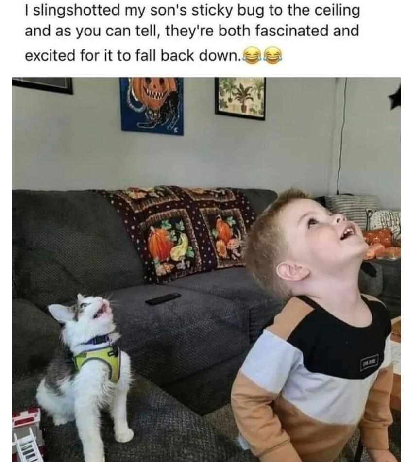 slingshotted my sons sticky bug to the ceiling and as you can tell theyre both fascinated and excited for it to fall back down J