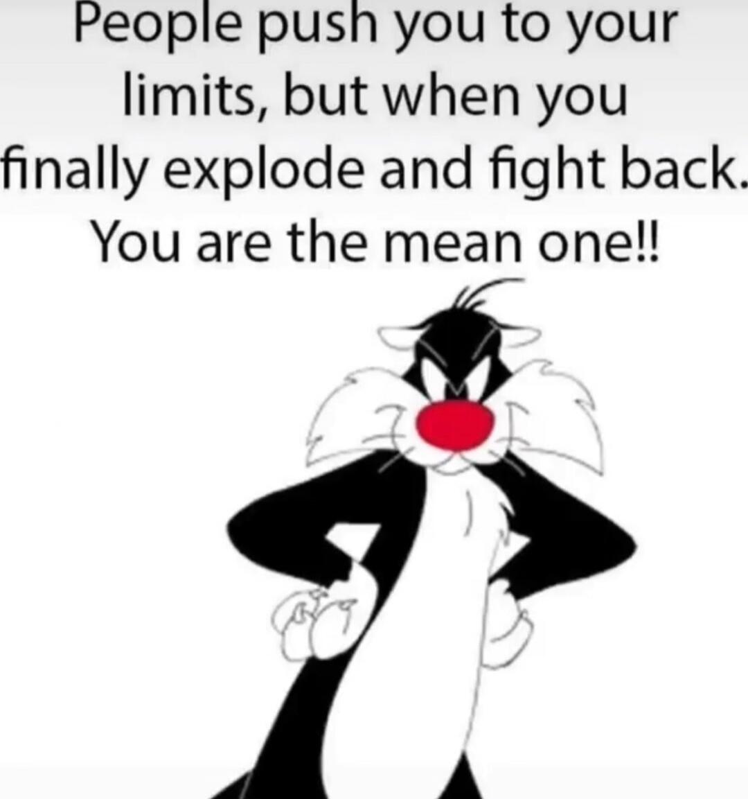 People push you to your limits, but when you finally explode and fight back. You are the mean one!!