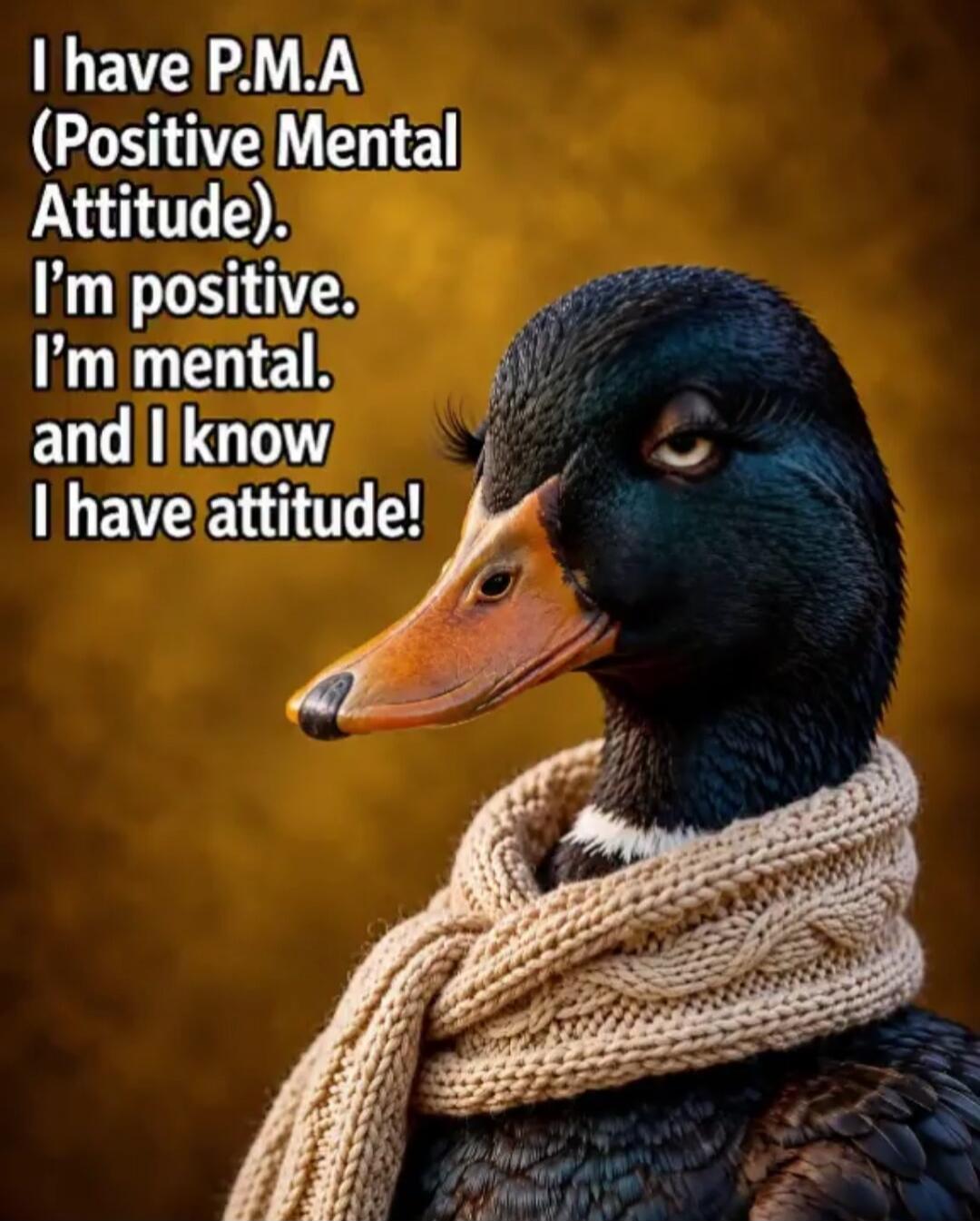 I have P.M.A (Positive Mental Attitude). I'm positive. I'm mental. and I know I have attitude!