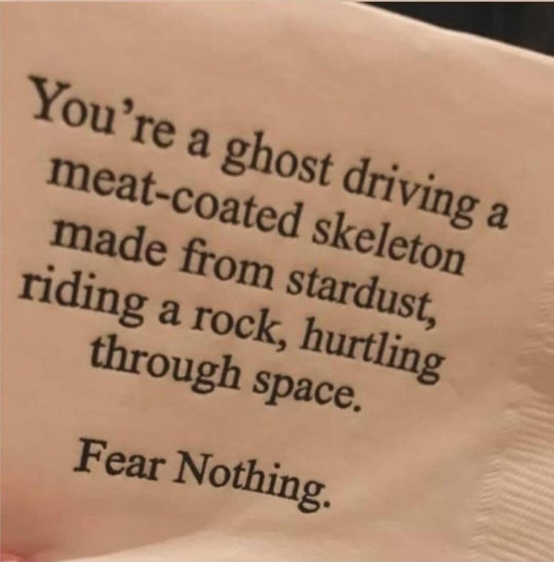 You're a ghost driving a meat-coated skeleton
made from stardust,
riding a rock, hurtling
through space.

Fear Nothing.