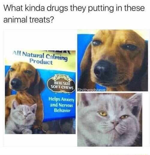What kinda drugs they putting in these animal treats