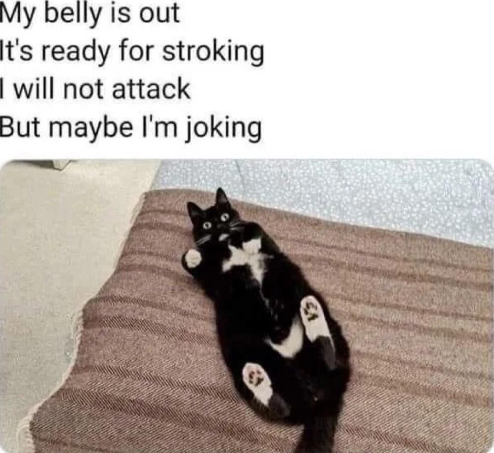 My belly is out ts ready for stroking will not attack But maybe Im joking