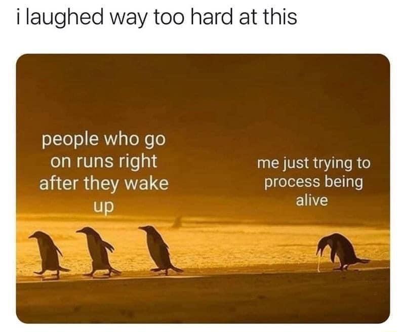 ilaughed way too hard at this people who go on runs right me just trying to ENCRUEAVELS process being alive