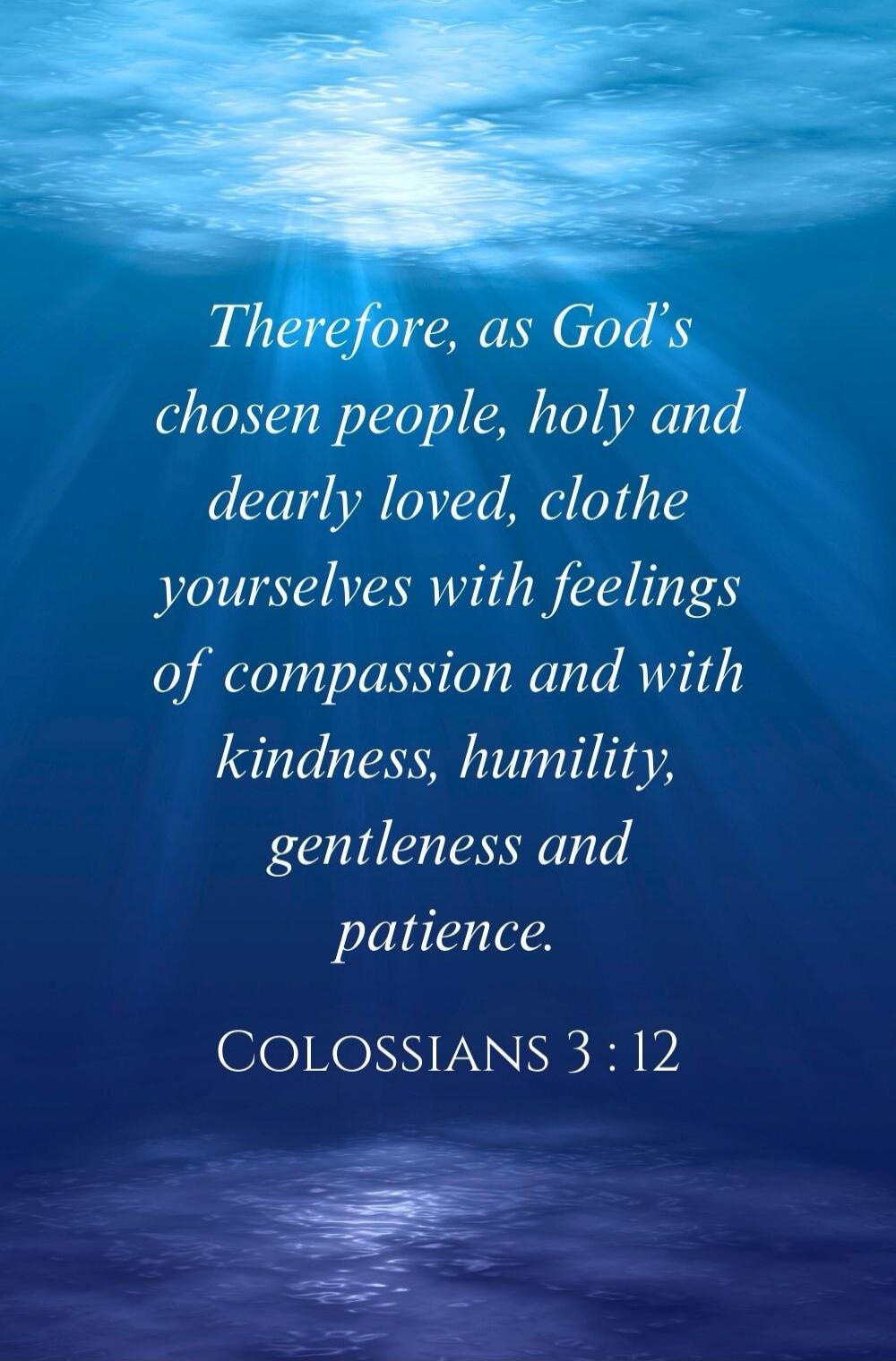 Therefore, as God's chosen people, holy and dearly loved, clothe yourselves with feelings of compassion and with kindness, humility, gentleness and patience. COLOSSIANS 3 : 12