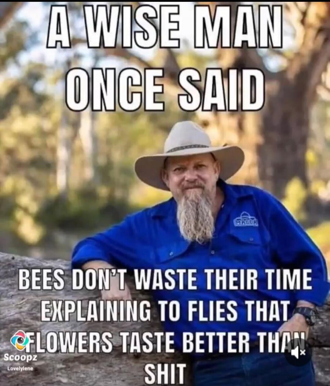 A WISE MAN ONCE SAID BEES DON'T WASTE THEIR TIME EXPLAINING TO FLIES THAT FLOWERS TASTE BETTER THAN SHIT