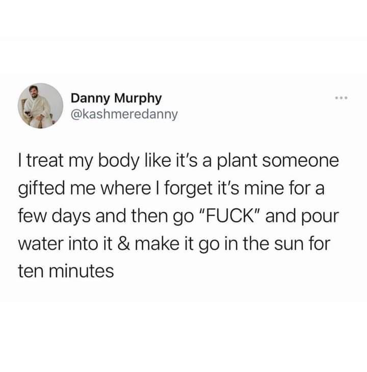 Danny Murphy kashmeredanny treat my body like its a plant someone gifted me where forget its mine for a few days and then go FUCK and pour water into it make it go in the sun for ten minutes