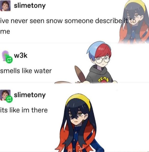 slimetony ive never seen snow someone describ me w3k smells like water m a slimetcny its like im there